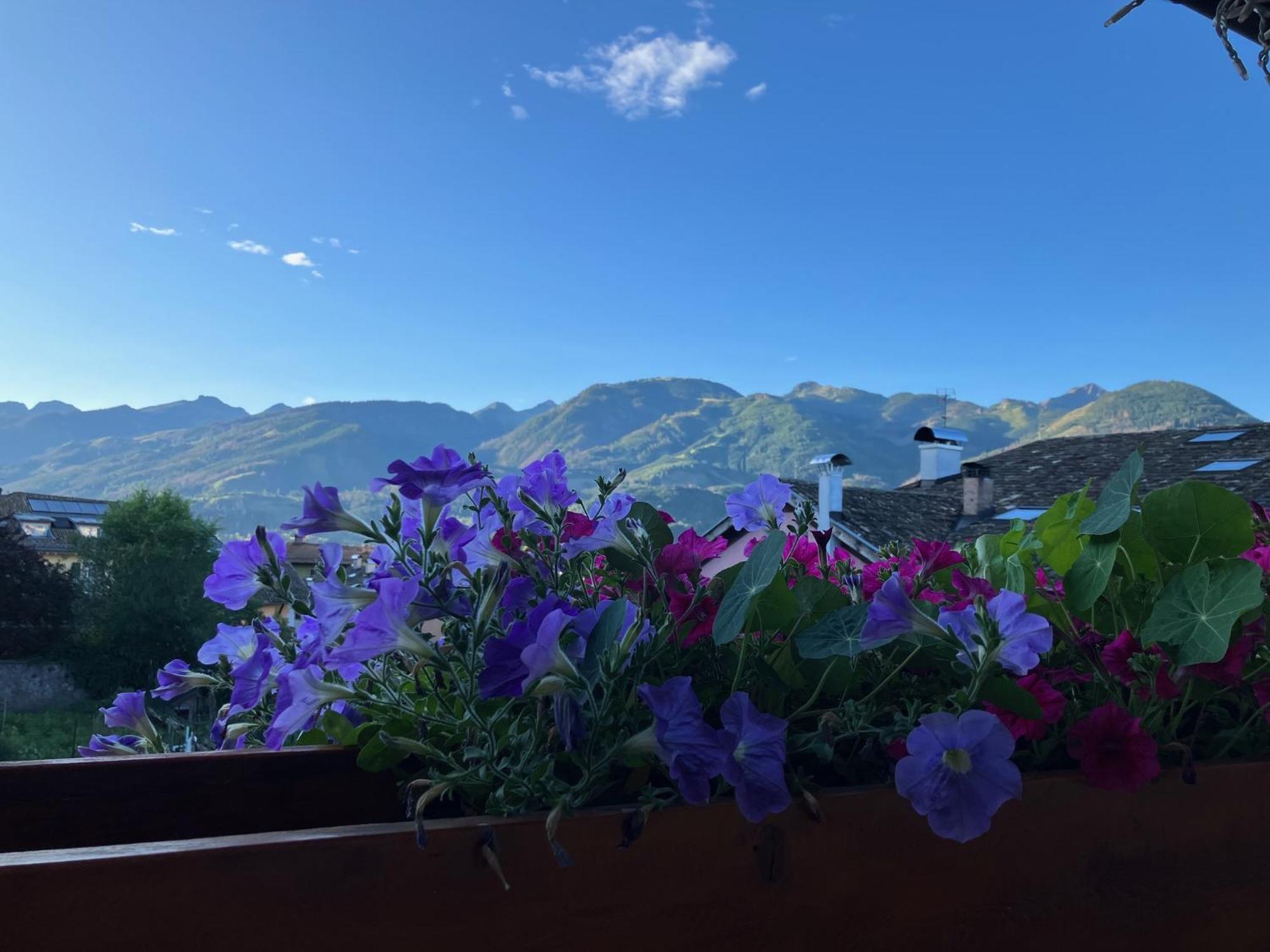 Hotel Garni Salvanel กาวาเลเซ ภายนอก รูปภาพ