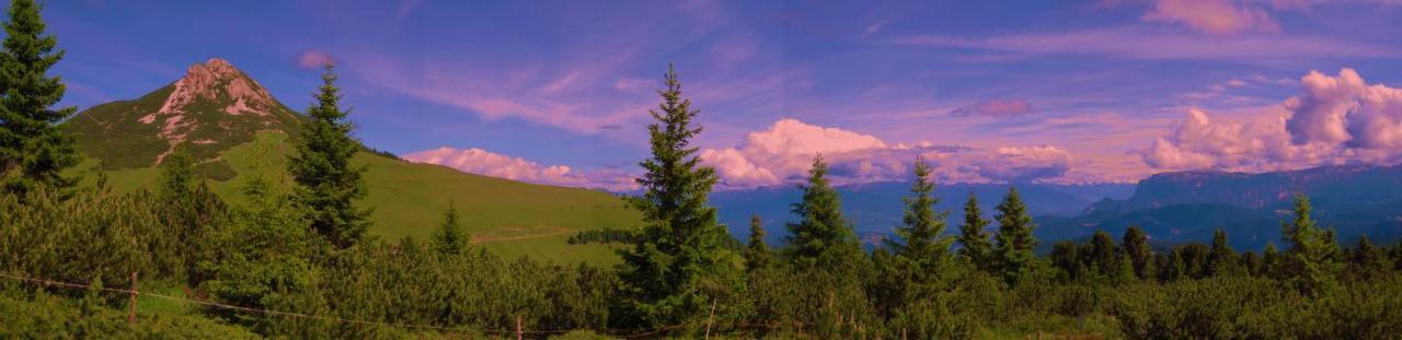 Hotel Garni Salvanel กาวาเลเซ ภายนอก รูปภาพ